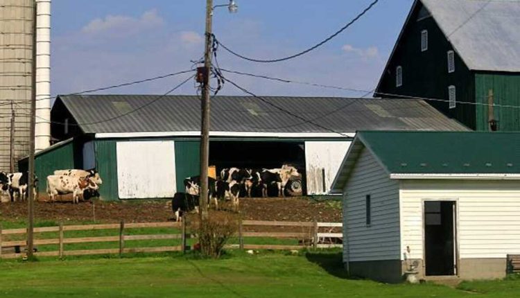 pole building kits portland Oregon