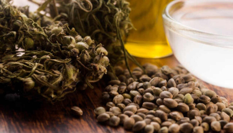 Advantages and Uses of Environment friendly Borneo Kratom